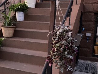 Brooklyn Diamond duplex ( parking, backyard, gameroom, jacuzzi