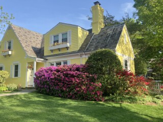 Yellow House